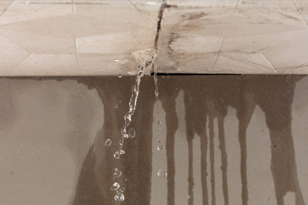 Professional Structural Drying technician working in Lakeside, VA